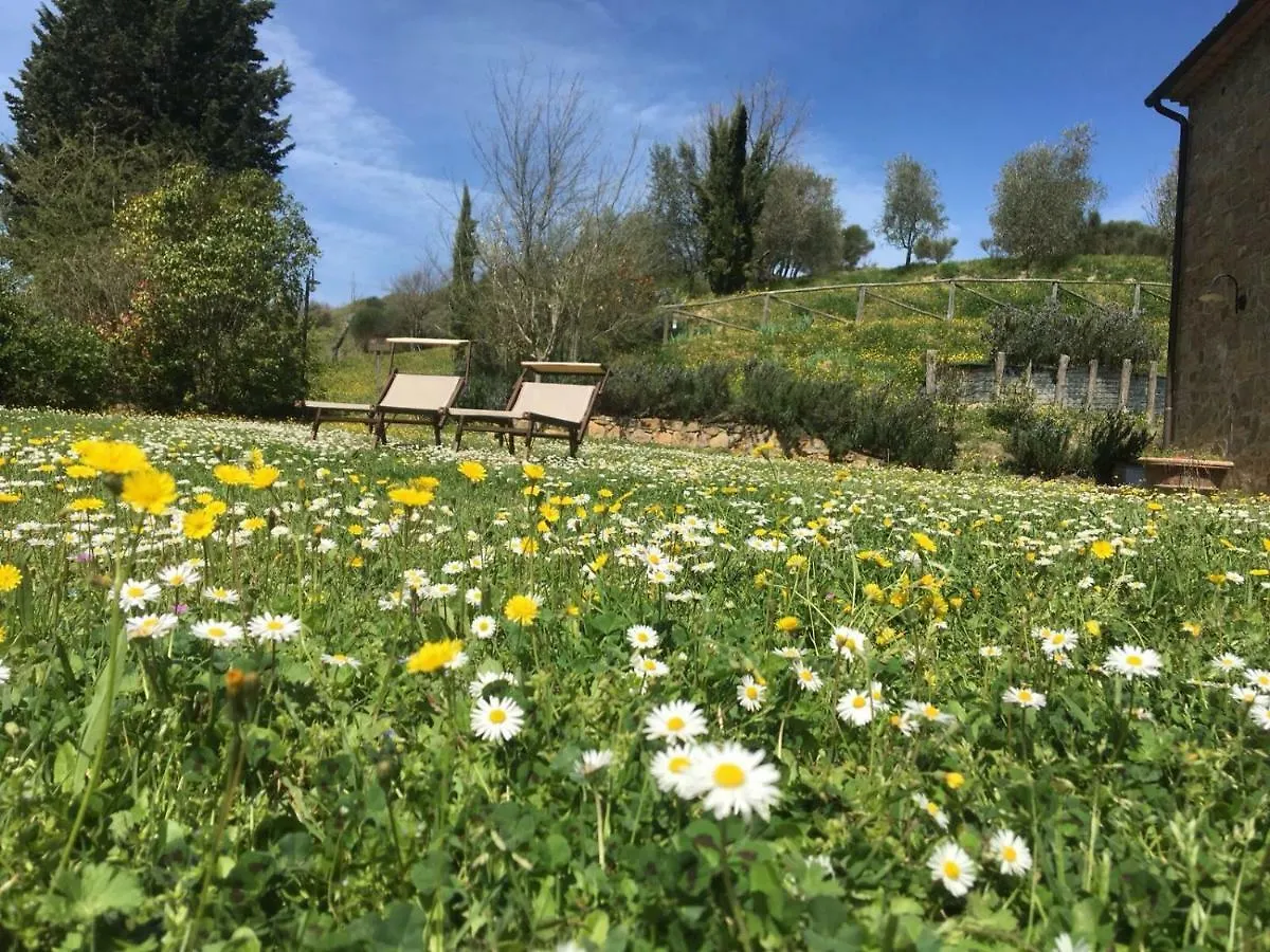 Holiday home Villa Ledonia Montaione